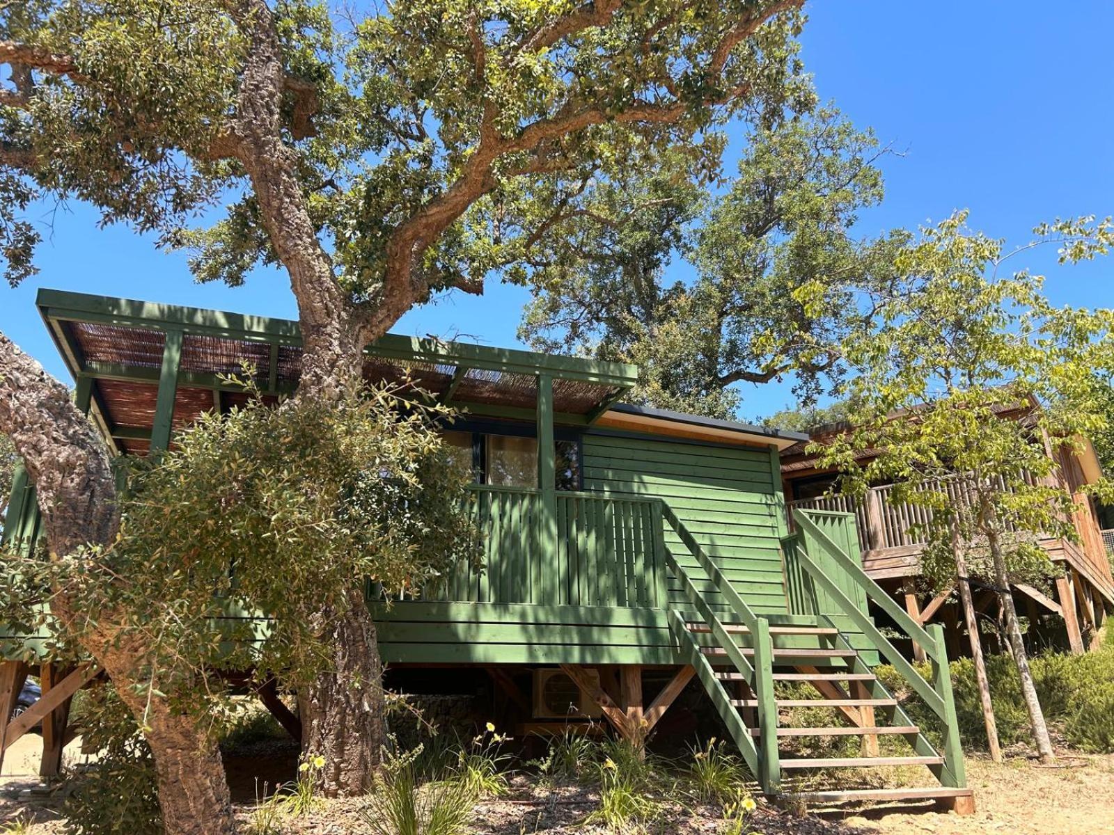 Camping Cala Pola Tossa de Mar Bagian luar foto